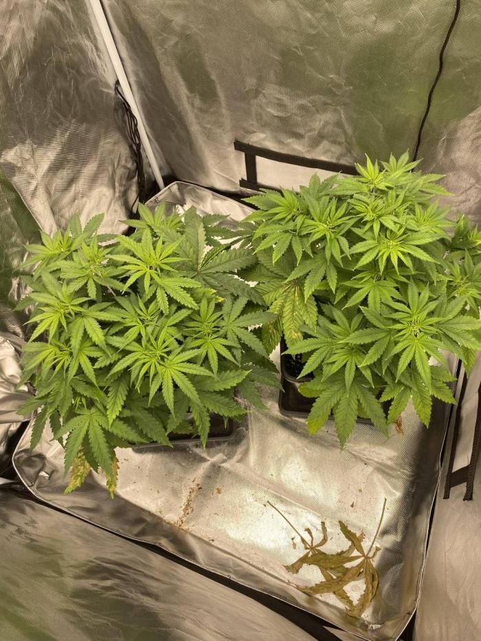 Hindu Kush die Zweite. Week 5