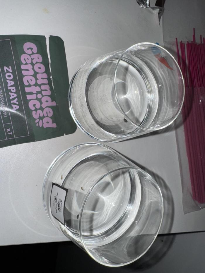 Zoapaya / Slurricane. Week 0