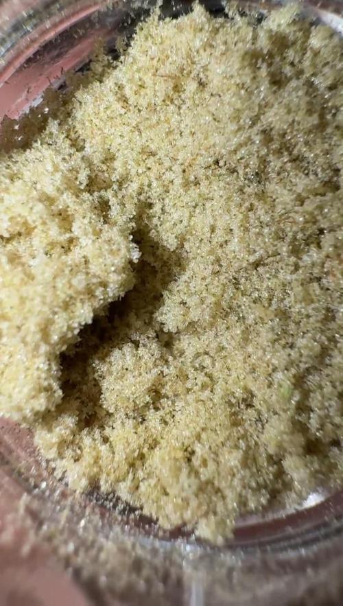 Zoapaya / Slurricane