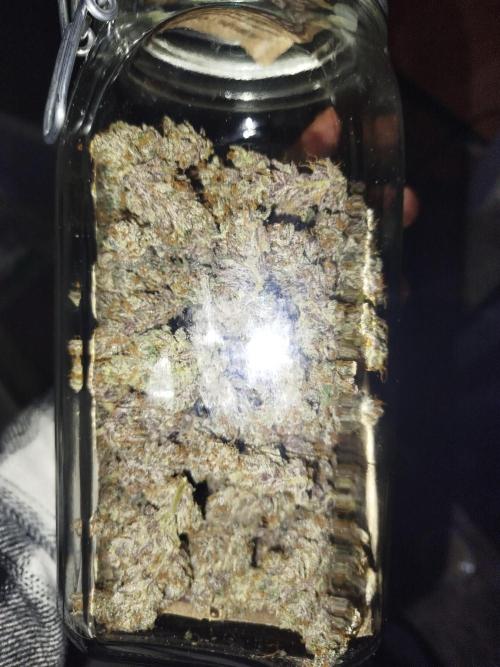 Iced 'n' Baked+ Freebie by Mephisto. Week 13