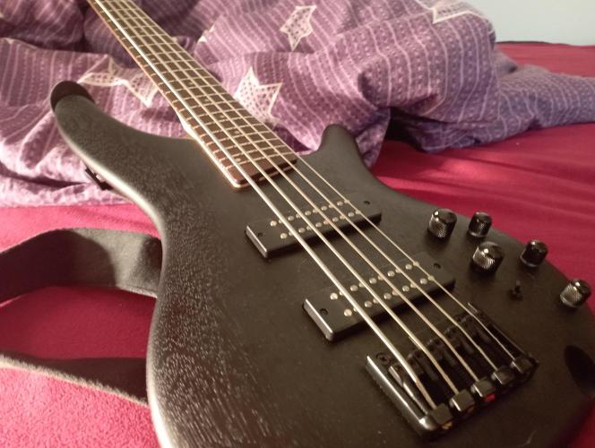 First Tent. Week 3 - The Tool that might save the Grow! Giving the Growee patience while keeping busy