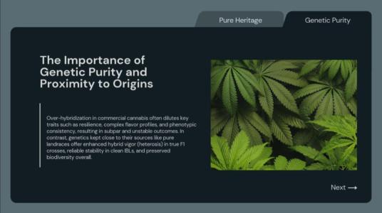 Comment by The_7_Club photo #1