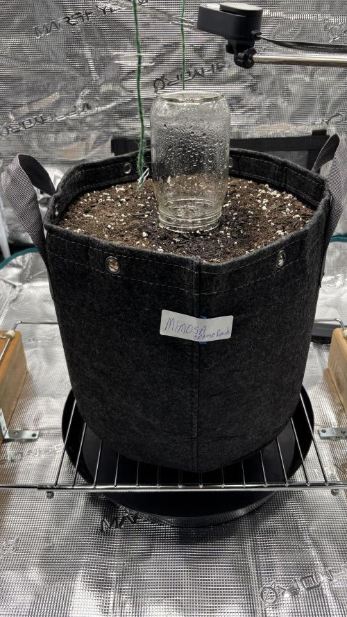 Grow#2. Week 0 - Pipe close up