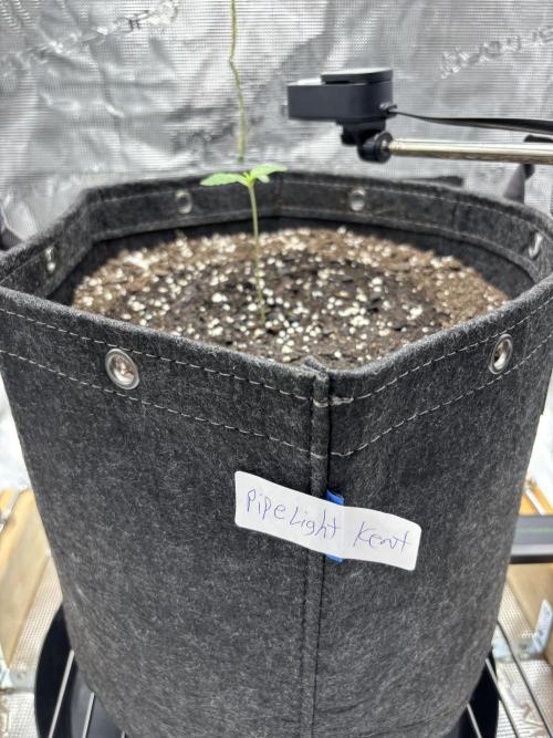 Grow#2. Week 0 - Pipe week 1