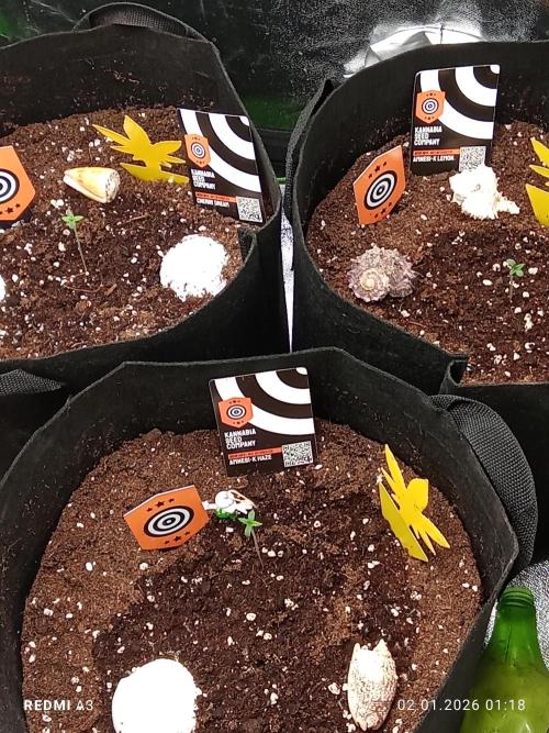 Kannabia Testrun'26. Week 0