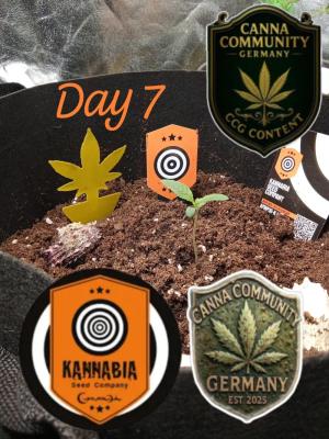 Comment by Draufpacker photo #2