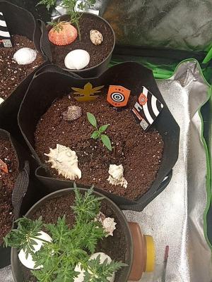 Comment by Draufpacker photo #3