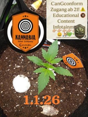 Comment by Draufpacker photo #2