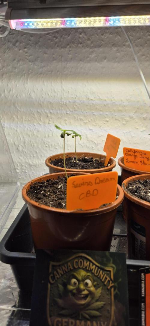 Testbericht. Week 2 - 1 Woche 