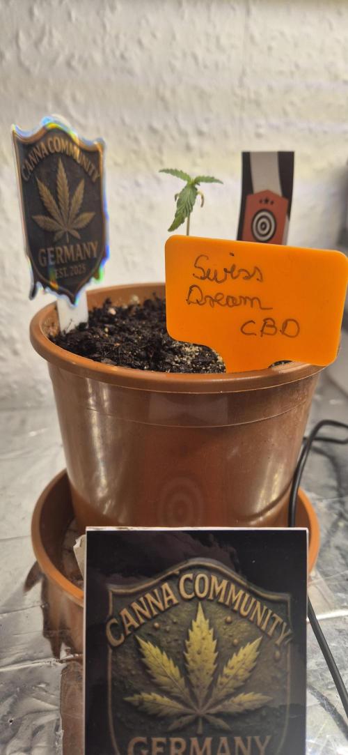 Testbericht. Week 2 - 2 Woche