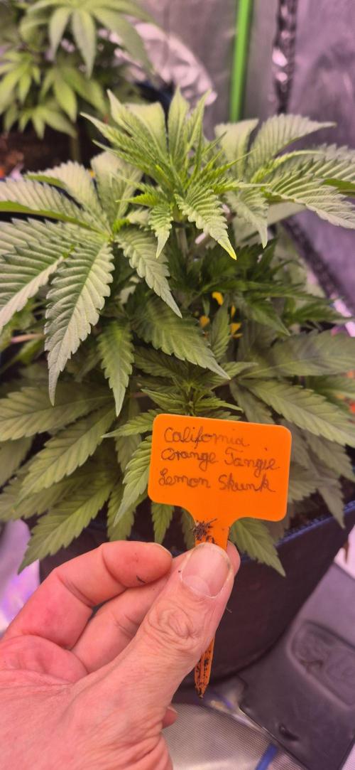 Testbericht. Week 6 - Woche 6