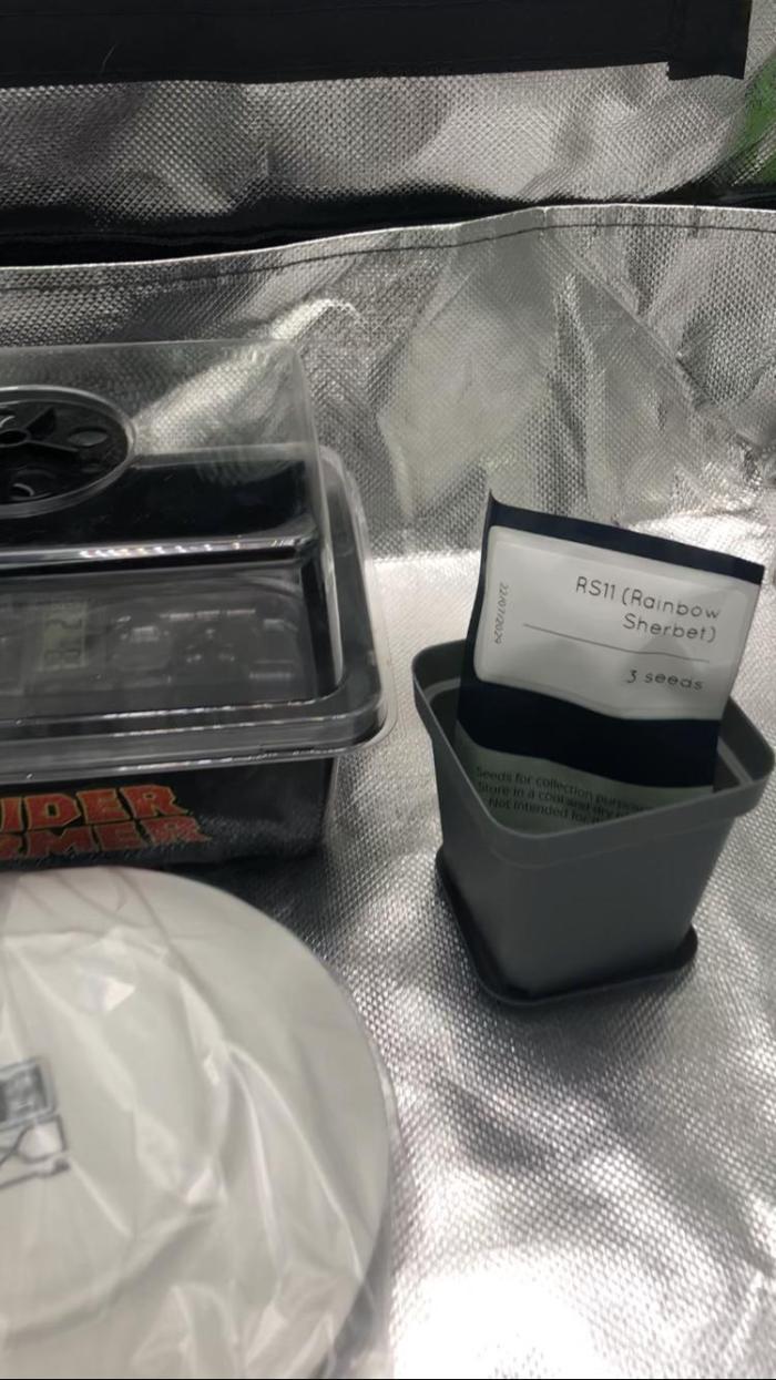 Z-RS11 - Tiny Lab Breeding. Week 0 - Go