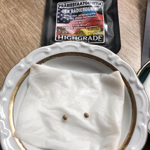 LivingRootsPro/Panova25. Week 0