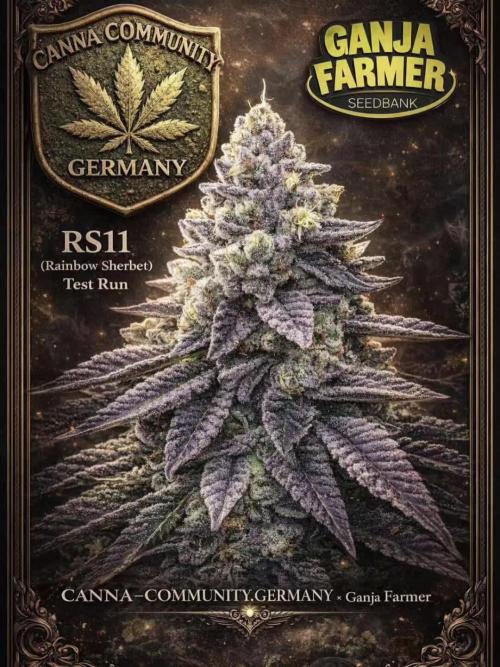 Ganja Farmer RS11 C