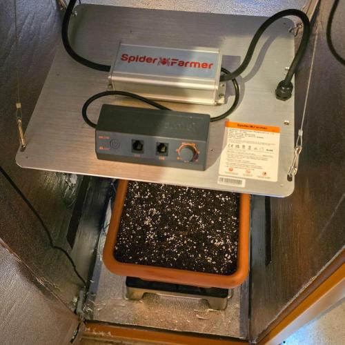 AK Automatic - Spliff Seeds | 40x40 LED. Week 0 - Spider Farmer SF-1000 LED installed in the cabinet.