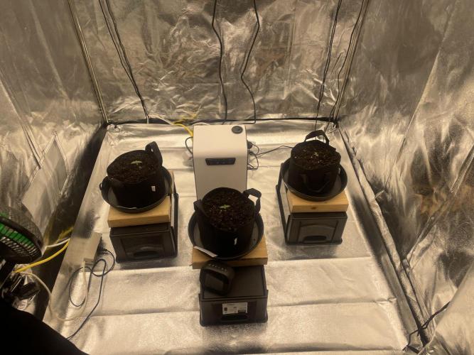 1st grow. Week 0 - Setup