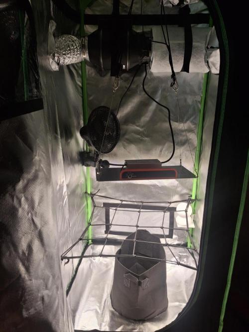 1._run_fast. Week 0 - Ich freue mich, mir da mal was "gegönnt" zu haben, es steht in meiner Wohnküche.