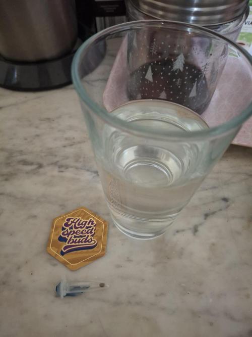 1._run_fast. Week 0 - Ein Musterexemplar, welches vo  Linda Seeds zugesandt wurde.