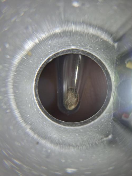 1._run_fast. Week 0 - Da ist der kleine süße Alien vor seiner Reise 