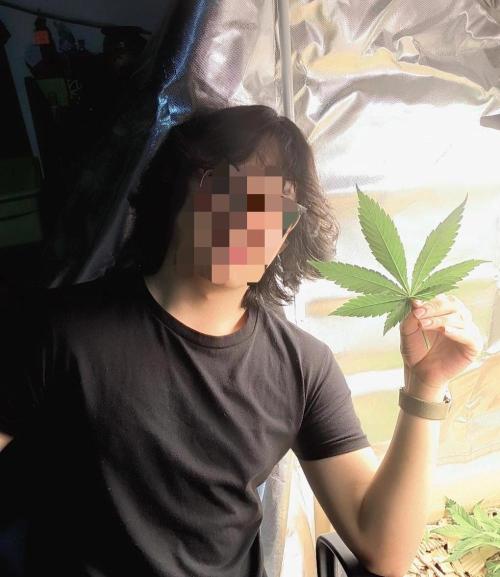 Chocolate Wafflez. Week 6 - Big leaf 