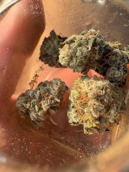 ZOAP by Barney’s farm by me. Week 18