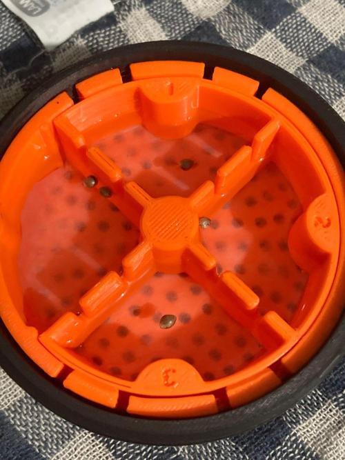 Rainbow Guavé x8+Grape Balls of Fire x1. Week 0 - i use this copy of cannakan