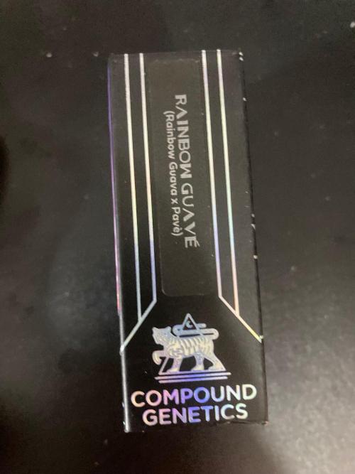 Rainbow Guavé x8+Grape Balls of Fire x1. Week 0