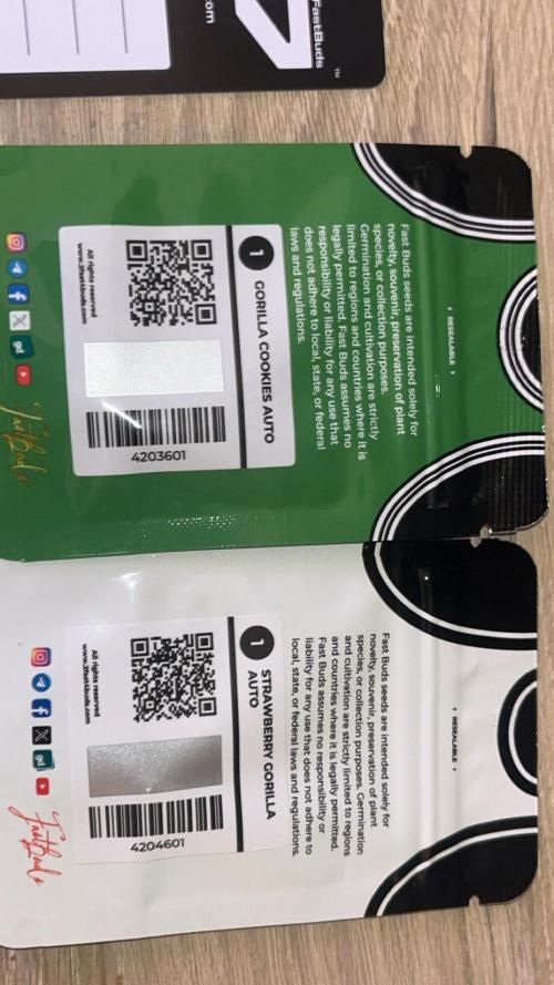 FastBuds First run. Week 0