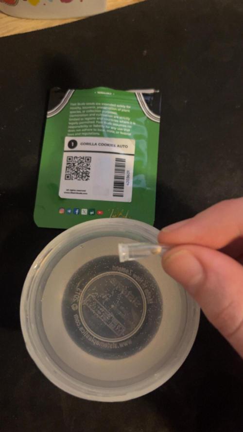 FastBuds First run. Week 0