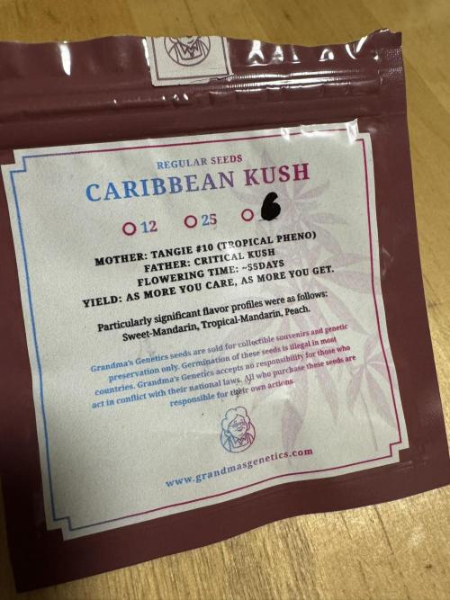 Caribbean Kush. Week 0