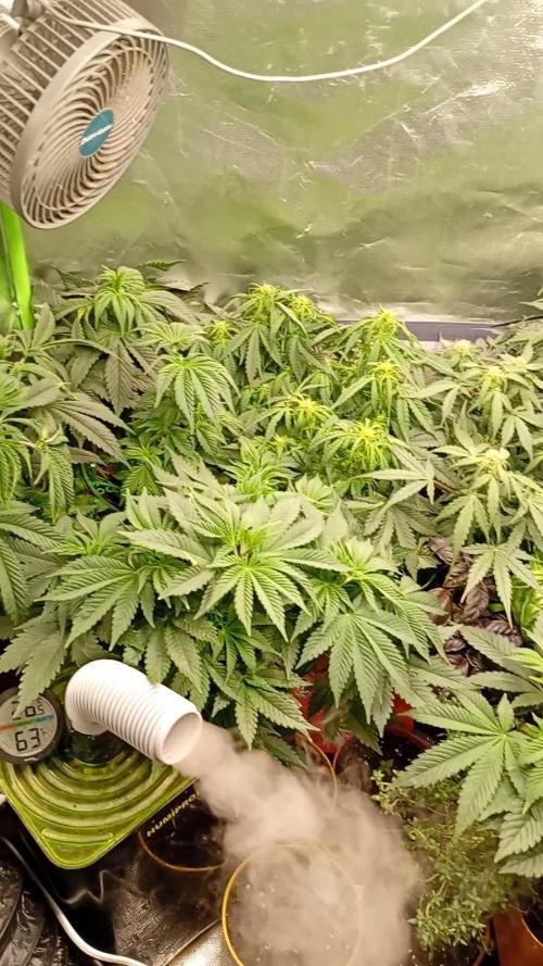 Break the pot