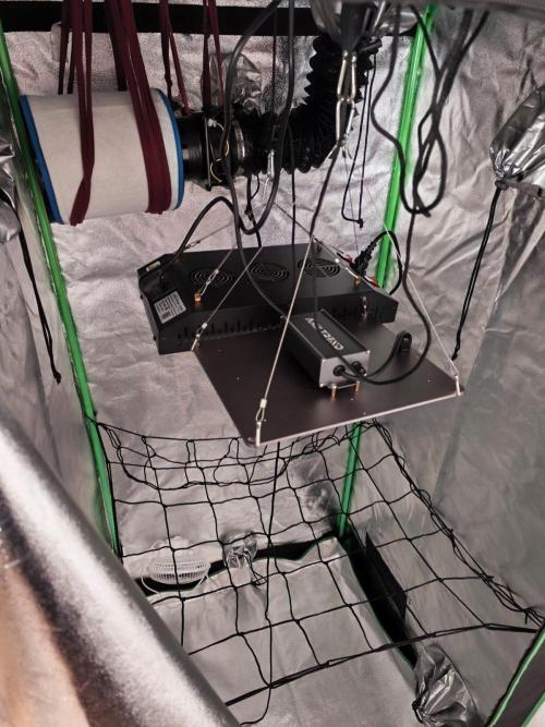 First diary! 2 autos + 1 photo RQS.. Week 0 - Current setup.