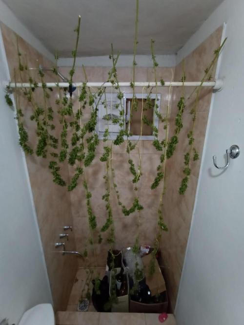 First diary! 2 autos + 1 photo RQS.. Week 0 - First run loot.