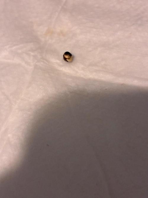 Grow#3 :). Week 0