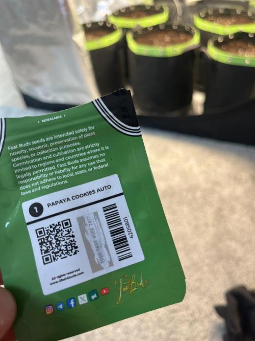 Phil’s 42fastbuds auto RF3 mix pack. Week 0