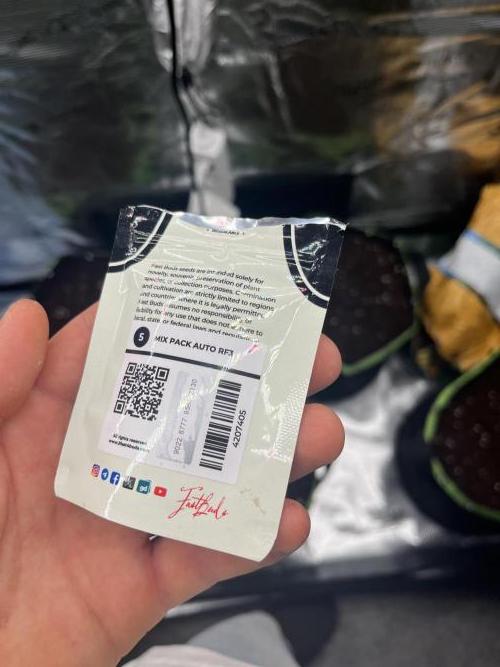 Phil’s 42fastbuds auto RF3 mix pack. Week 0 - Mix pack auto RF3 
5 seeds RF3 they came all together so mystery grow ig.
