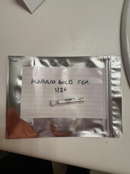 First Grow. Week 0 - Starting this grow with Seed Supreme’s Acapulco Gold Fem.