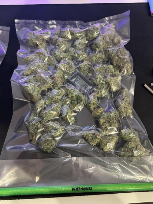 Tarte Tatin Greenhouseseeds (first grow). Week 9