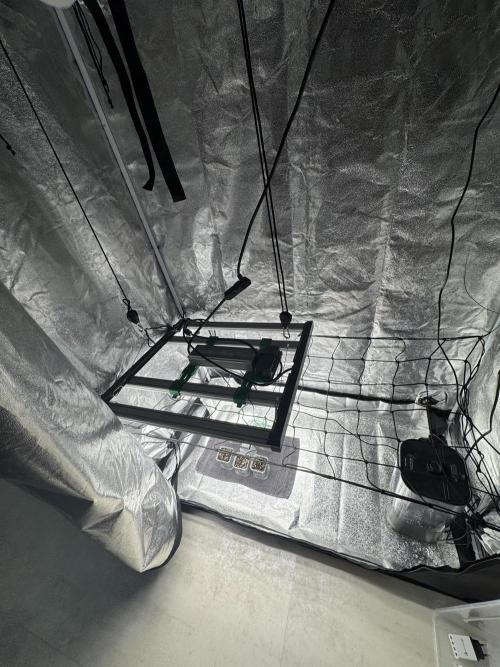 FastBuds Grow. Week 0