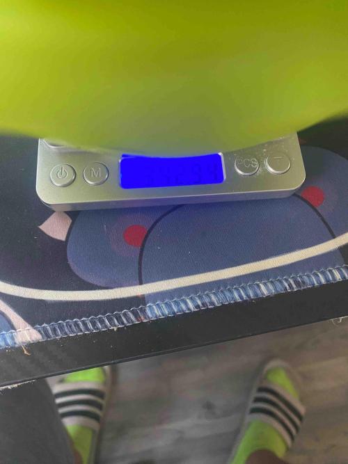 Pablo Escobar alive. Week 9