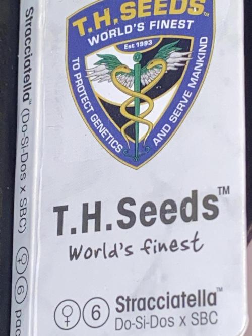 HFCS test run 4. Week 0