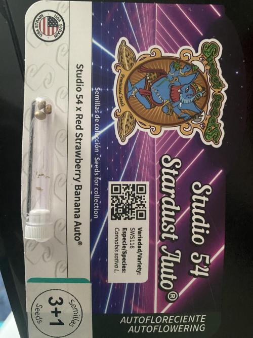 HFCS Studio54 Stardust. Week 0