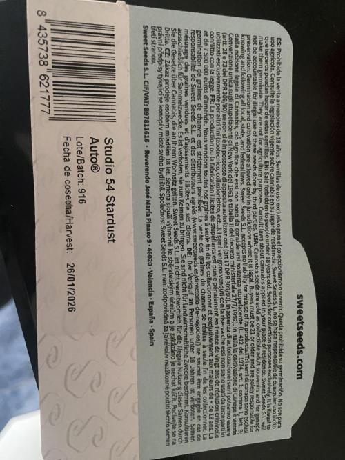 HFCS Studio54 Stardust. Week 0