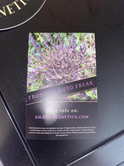 Frostys Freak goes Purple. Week 0