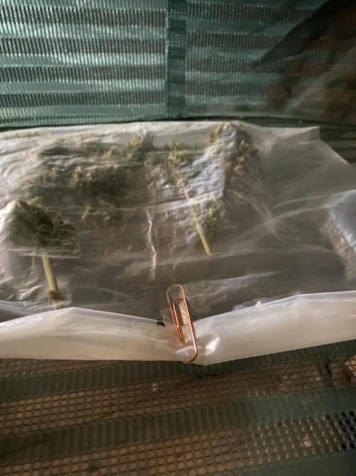 Luke Skywalker?. Week 12