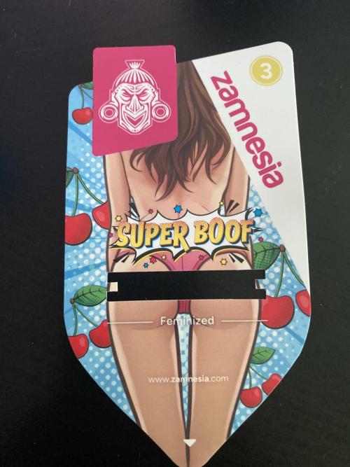 Super Boof by someone other. Week 0