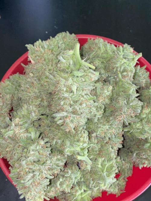 Frostys Freak goes Purple in the Contest. Week 14