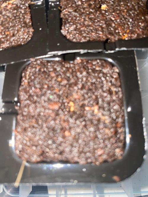 Super Boof XL Auto. Week 0