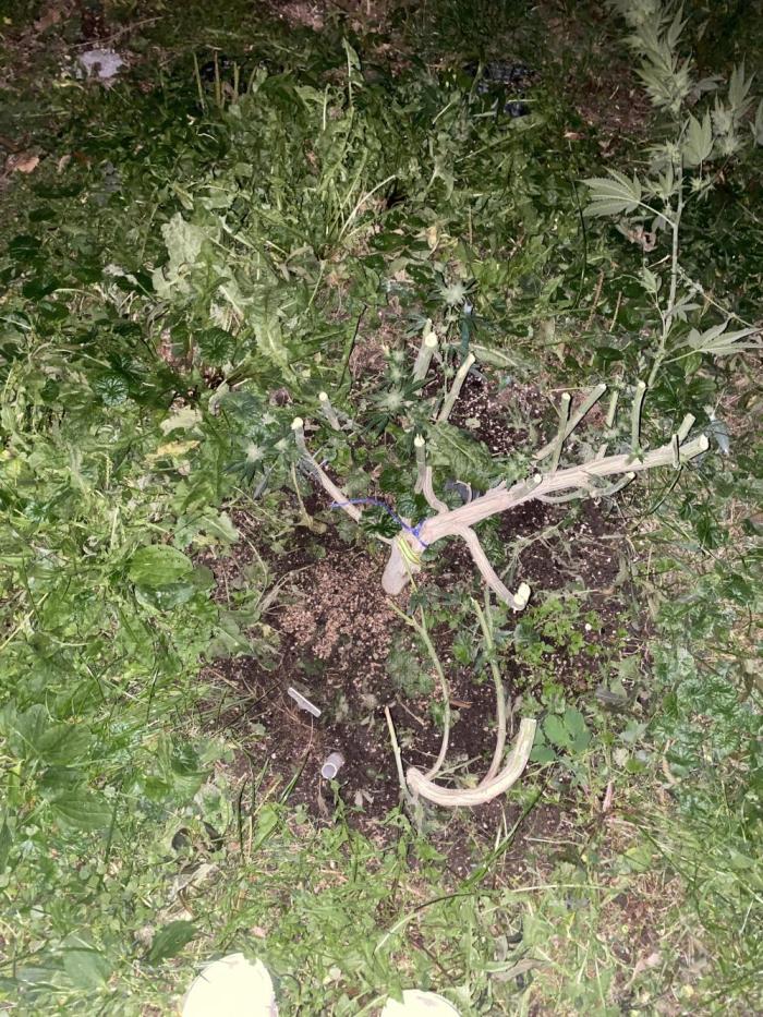 Dante’s Inferno Outdoor 2026. Week 24