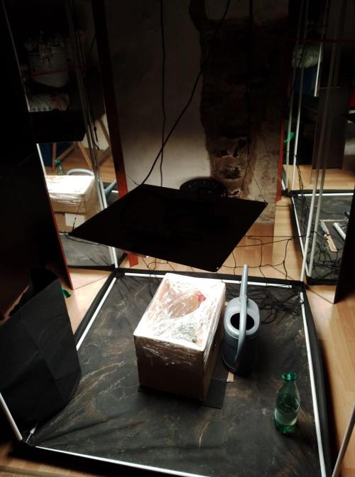 100l/26gal RQS Biscotti Experiment. Week 3